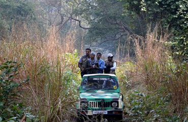 dudhwa jeep safari India